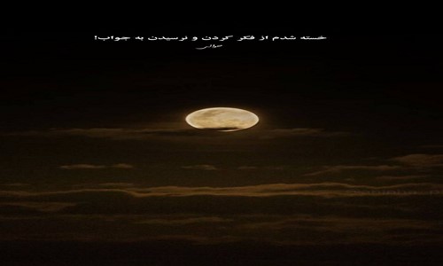  بلبل فدا ادر ادر گولره کارشی